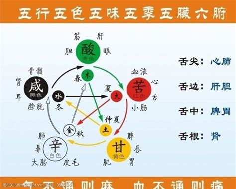 五行關係|五行